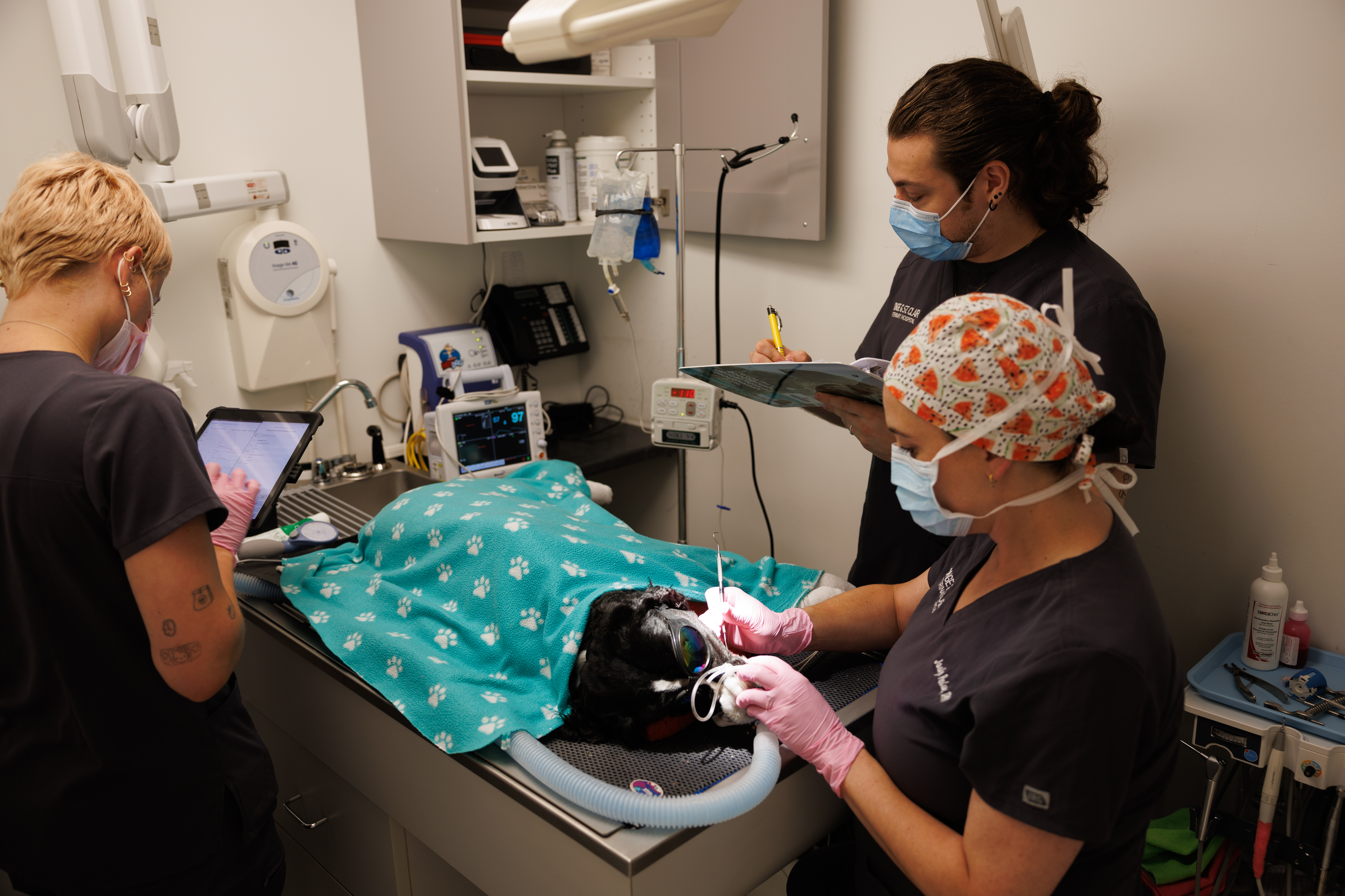 In this photograph, a group of four individuals are gathered around a patient lying on an operating table, with two people performing medical procedures and one person observing. The atmosphere appears sterile and professional, indicative of a healthcare setting.
