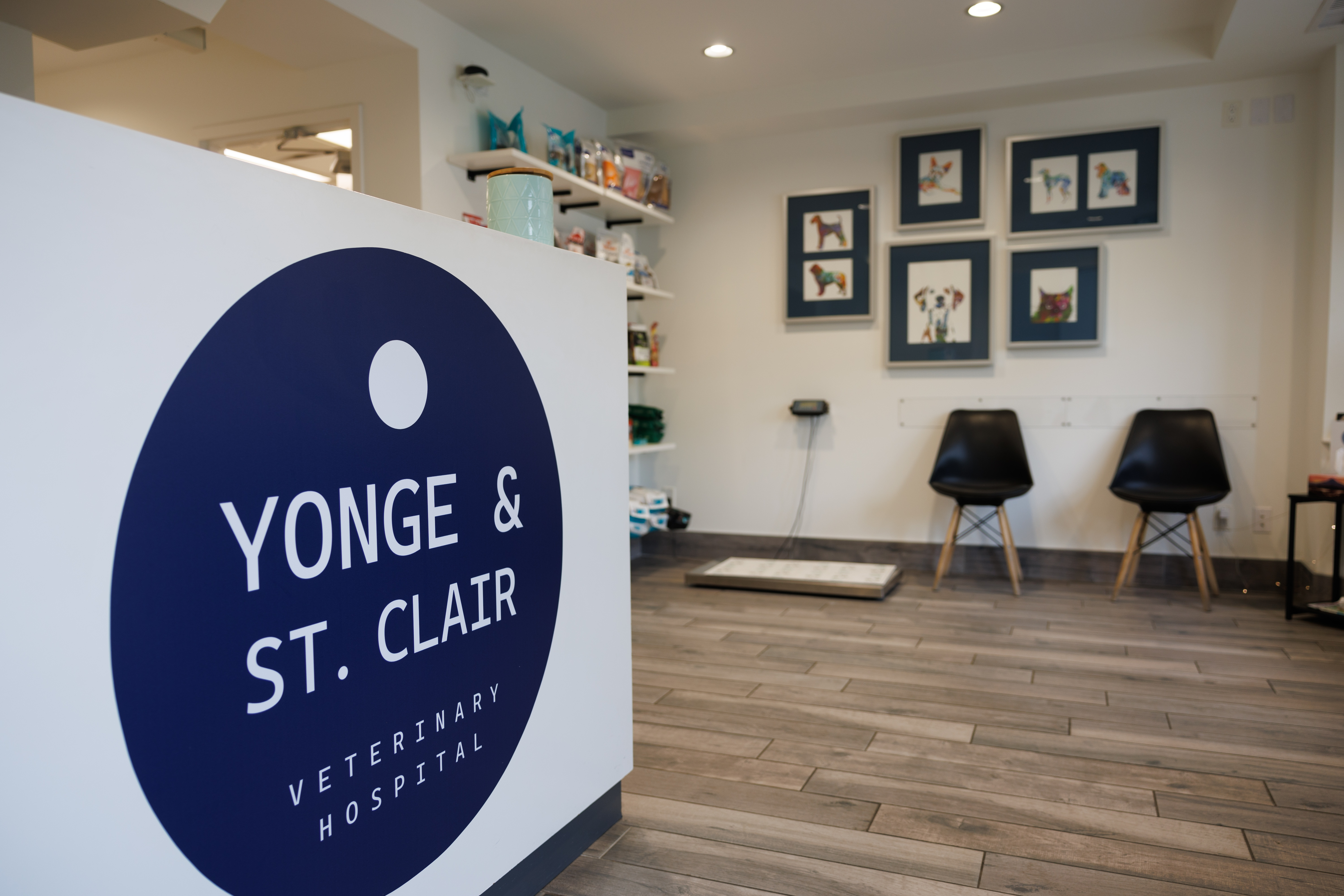 The image shows an interior space with a sign that reads 'YONGE & ST CLAR' indicating a veterinary hospital, featuring framed pictures on the wall and a modern, clean design.