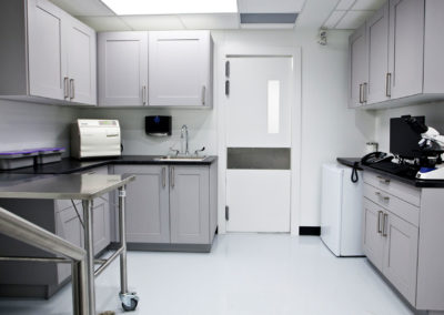 The image shows a well-equipped, clean laboratory with white cabinets, stainless steel countertops, and various pieces of equipment including a sink, refrigerator, and microscope.