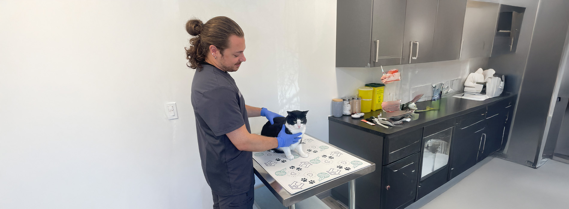 Yonge   St. Clair Veterinary Hospital | Cryotherapy, Parasite Prevention and Desexing