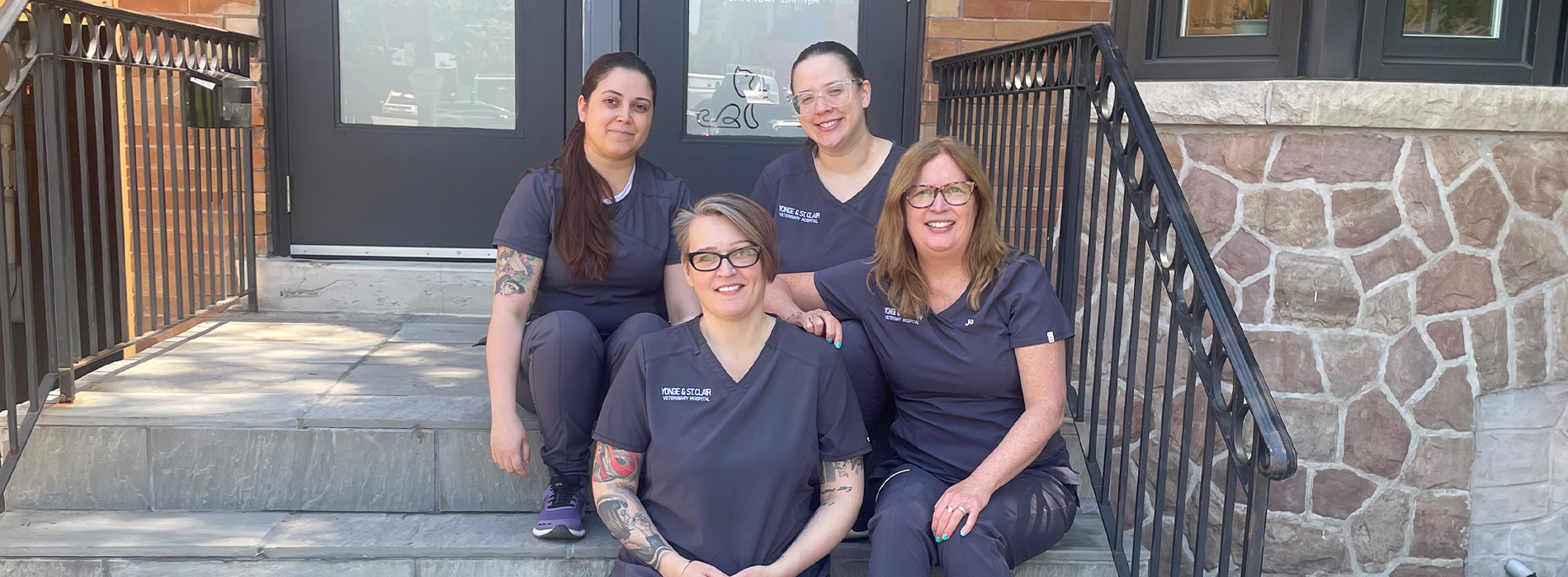 Yonge   St. Clair Veterinary Hospital | Diagnostics, Soft Tissue Surgery and Desexing