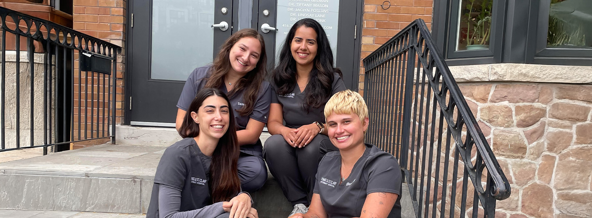 Yonge   St. Clair Veterinary Hospital | Puppy and Kitten Consultations, Nutrition Consultations and Laparoscopy