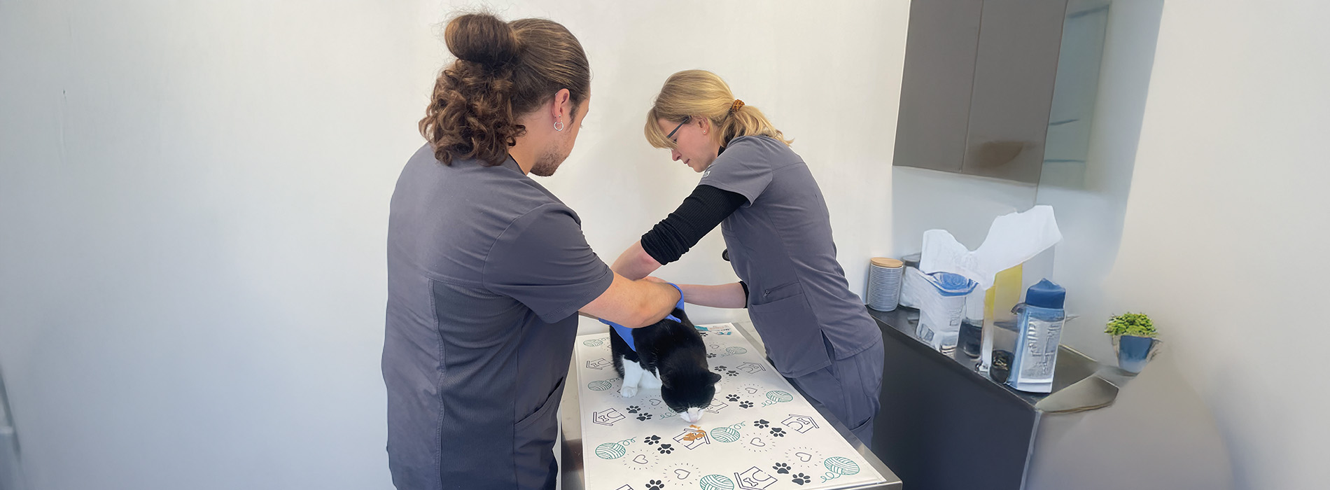 Yonge   St. Clair Veterinary Hospital | Nutrition Consultations, Dermatology and Diagnostics