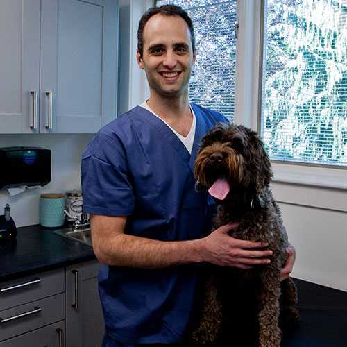 A man in scrubs holding a dog with its tongue out, both standing in front of a kitchen counter.