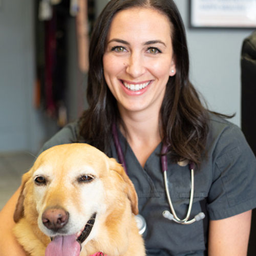 A woman in scrubs is sitting on a chair with her arm around a yellow labrador retriever.