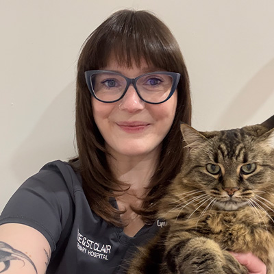 Yonge St. Clair Veterinary Hospital | Desexing, Vaccinations and Soft Tissue Surgery