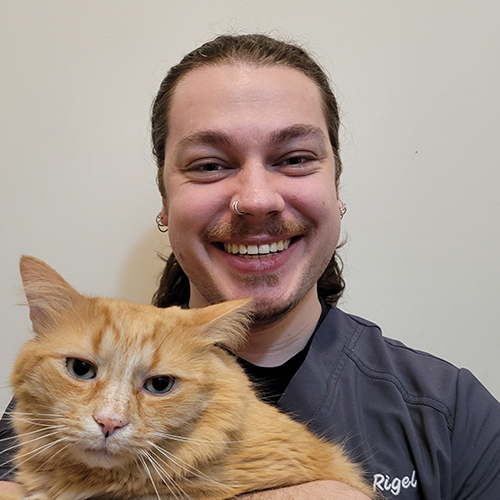 A man with a beard holding an orange cat, both smiling at the camera.