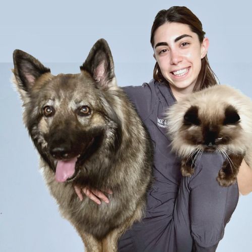 Woman with two large dogs, posing for a photo.
