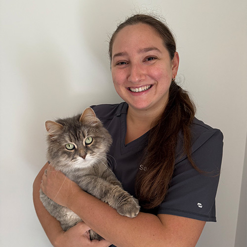 Yonge St. Clair Veterinary Hospital | Dermatology, Nutrition Consultations and Digital Radiology